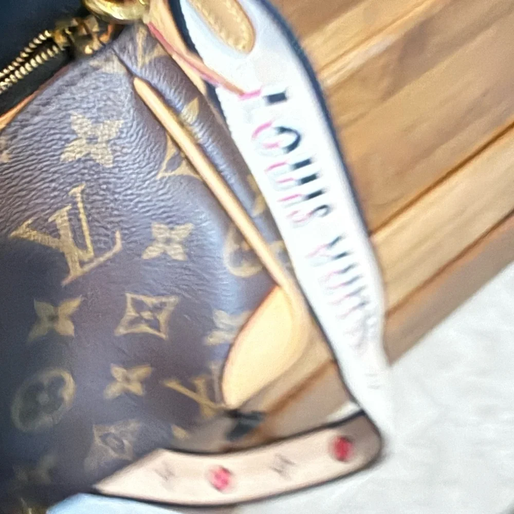Louis Vuitton Monogram Diane Brown and Tan Crossbody Bag - Picture 3 of 5